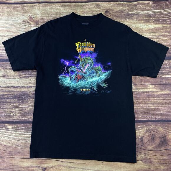 Insomniac Forbidden Kingdom Dragon TShirt Size Medium Concert Music Fest - Picture 1 of 7